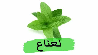 النعناع