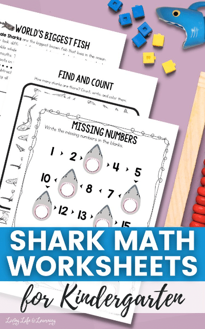 shark math worksheets