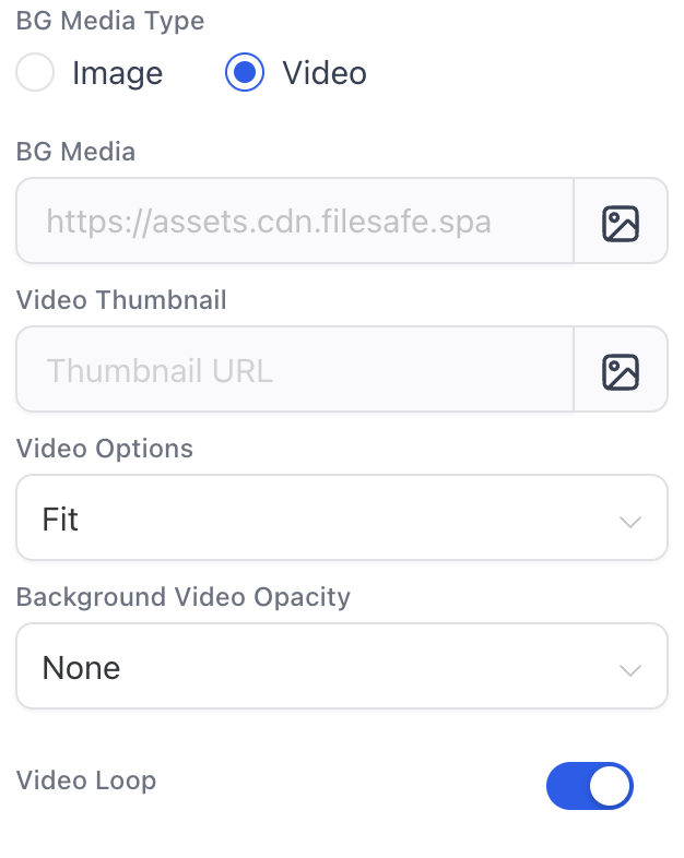 video options