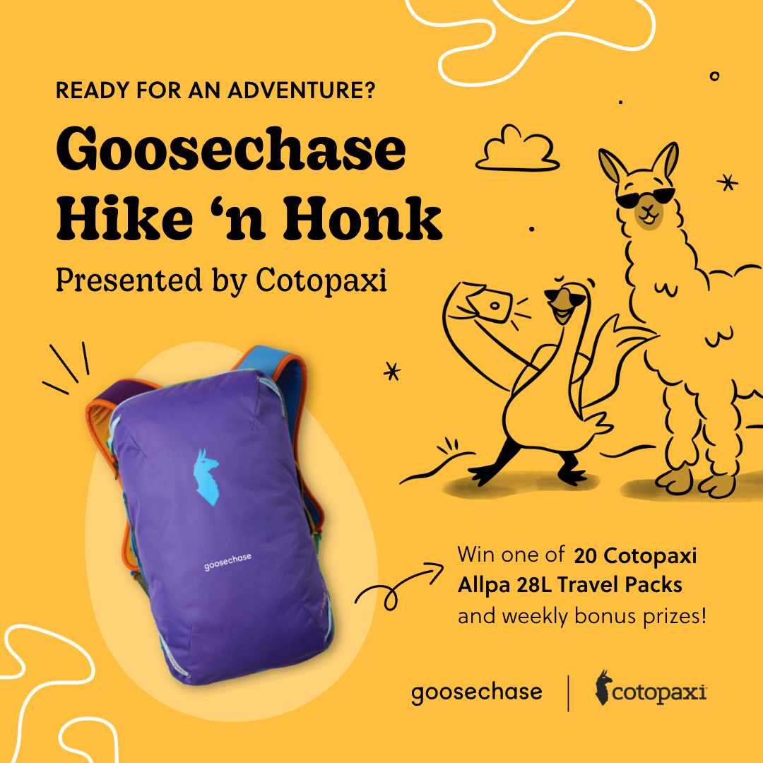 Purple backpack with an illustration of a goose and a llama below the words 'Goosechase Hike 'n Honk' in black type on an orange background.