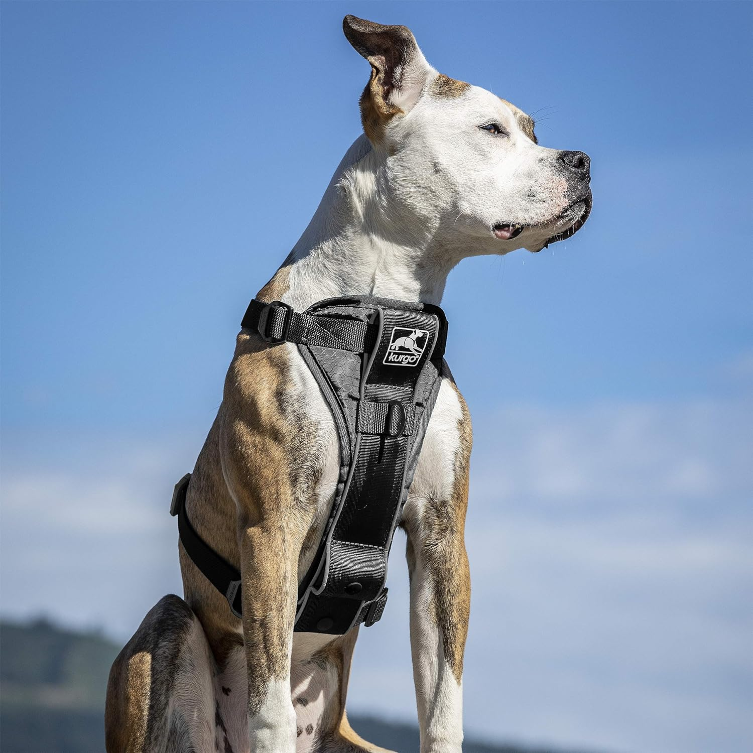 Kurgo Tru-Fit Smart Harness