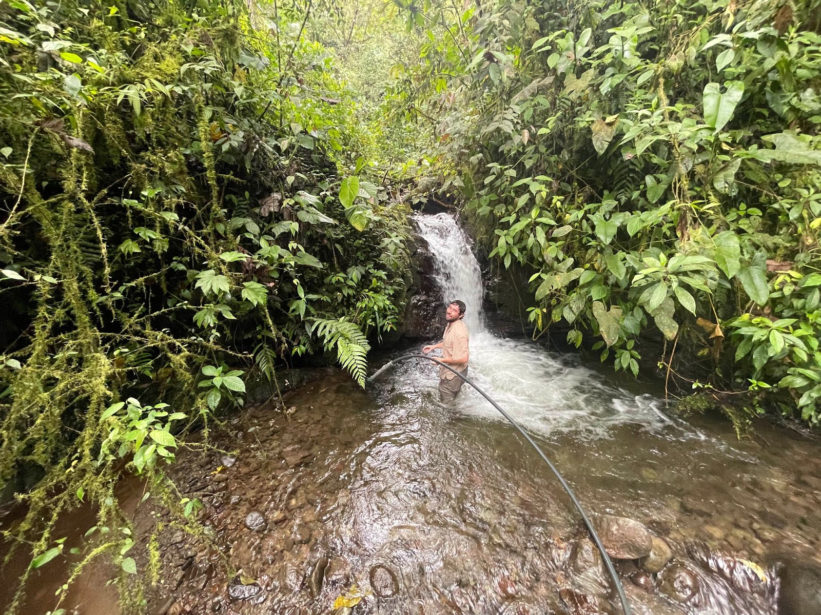 Reserva Las Tangaras | Reserva Las Tangaras, Mindo, Ecuador: 099-058-7084;  lastangarasreserve@gmail.com