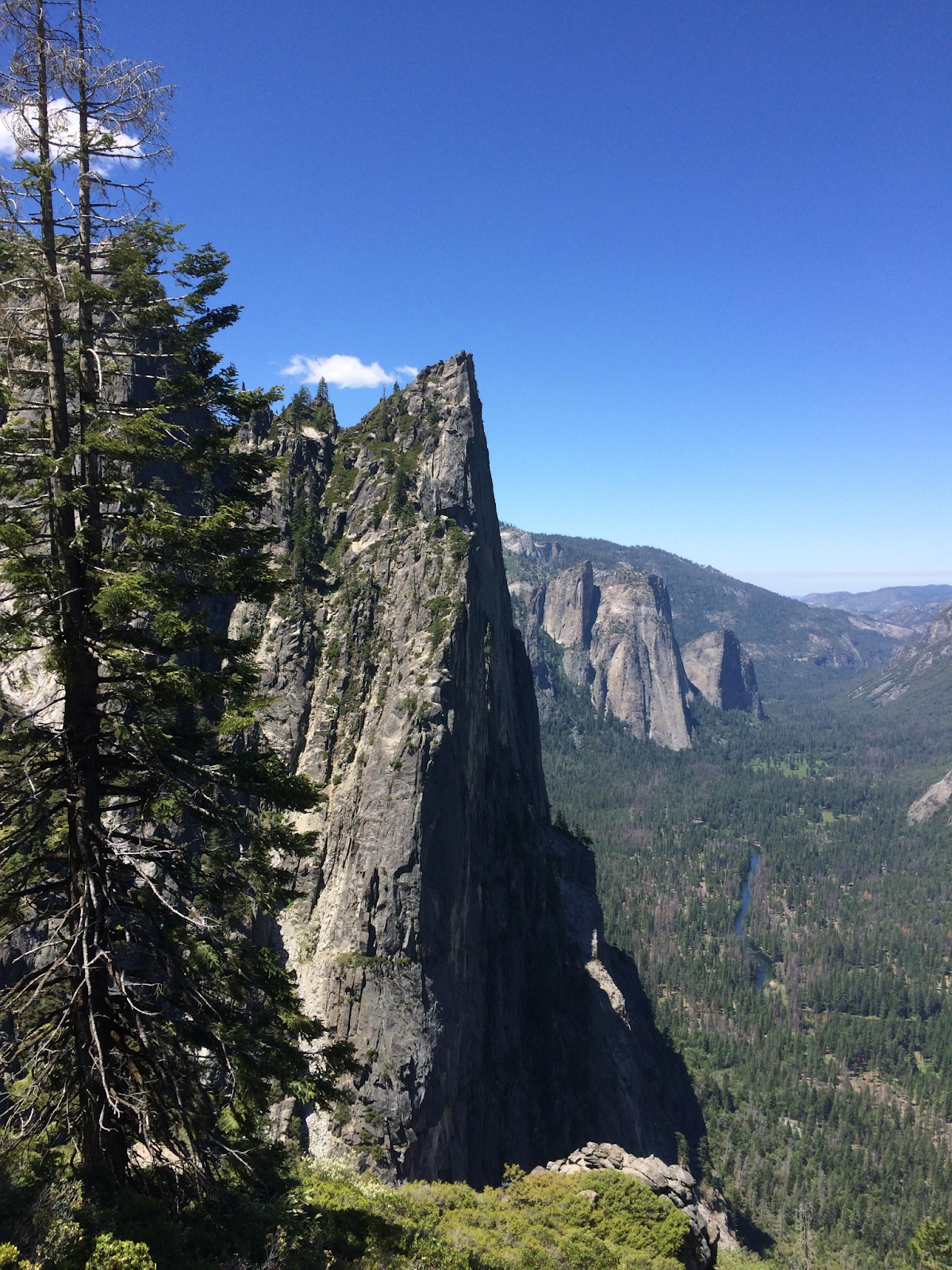 day trip to yosemite from sf