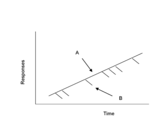 جدولة الفترات الزمنية المتغيرة Variable Interval Schedule of Reinforcement (VI)-aba-resources