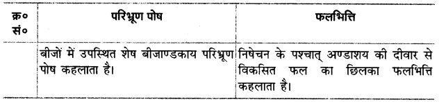 UP Board Solutions for Class 12 Biology Chapter 2 Sexual Reproduction in Flowering Plants Q.13.4