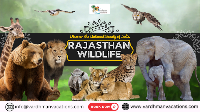 Explore the Wonders of Rajasthan Wildlife Tour Packages