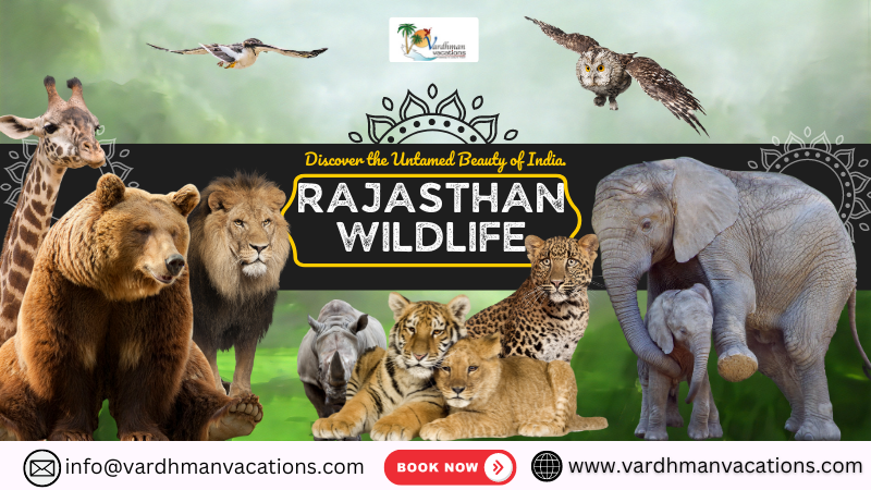 Rajasthan Wildlife Tour Packages