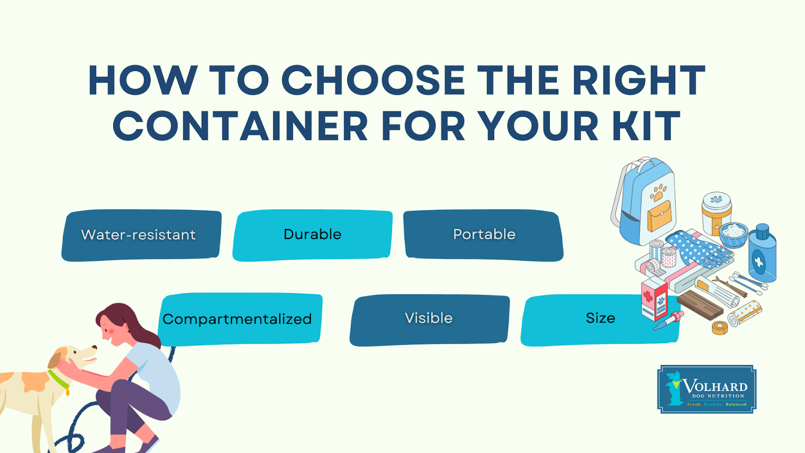 How to choose container dog first aid kit