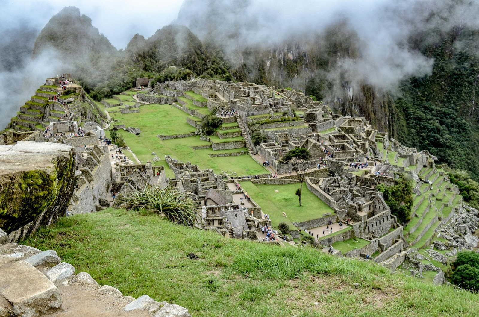 Peru: Where Business Excellence Meets Environmental Stewardship