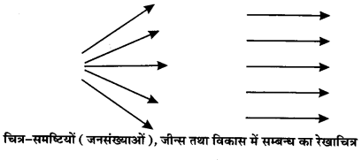 UP Board Solutions for Class 12 Biology Chapter 7 Evolution 3Q.4