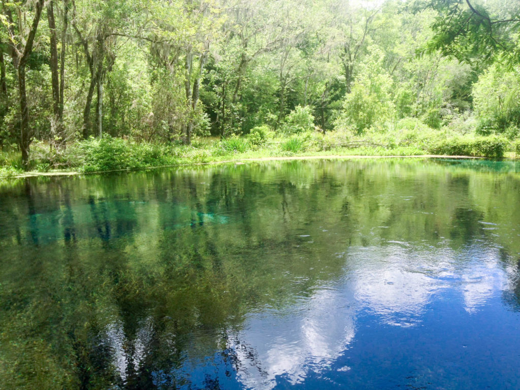 Blue Hole Florida 