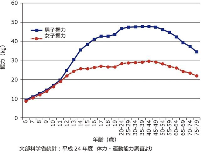 文部科学省統計：握力・運動能力グラフ