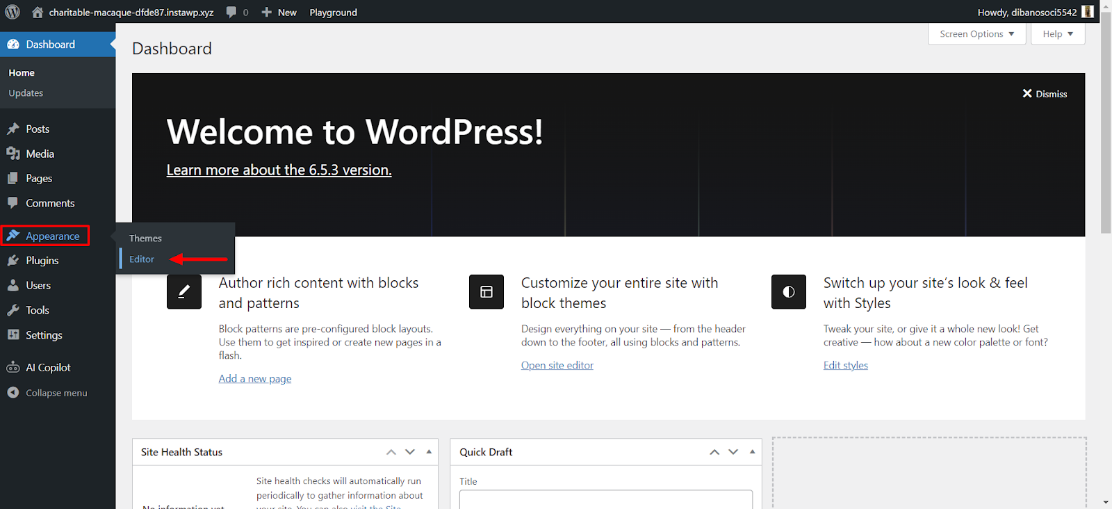 A screenshot to open Editor on WordPress dashboard