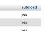 Image showing the autoload column being set to yes.