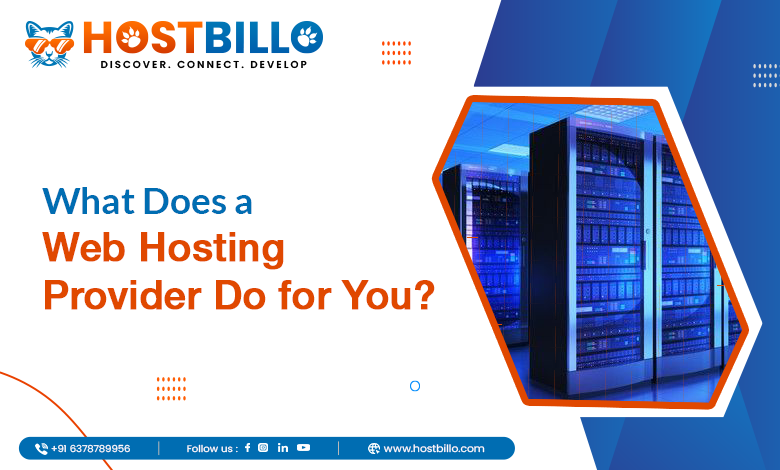 What Does a Web Hosting Provider Do for You?