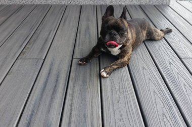 deck designs to create a pet friendly outdoor living space french bulldog laying on top of composite decking custom built michigan