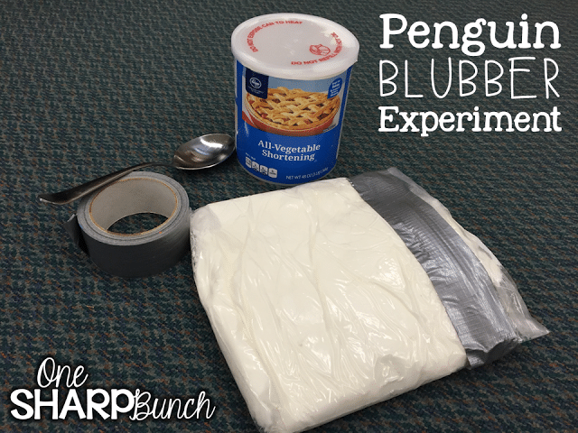 This post has so many integrated penguin activities, covering each content area, as well as penguin crafts to display the students’ learning! Grab the FREE penguin blubber experiment printable to use with your Kindergarten and primary students!