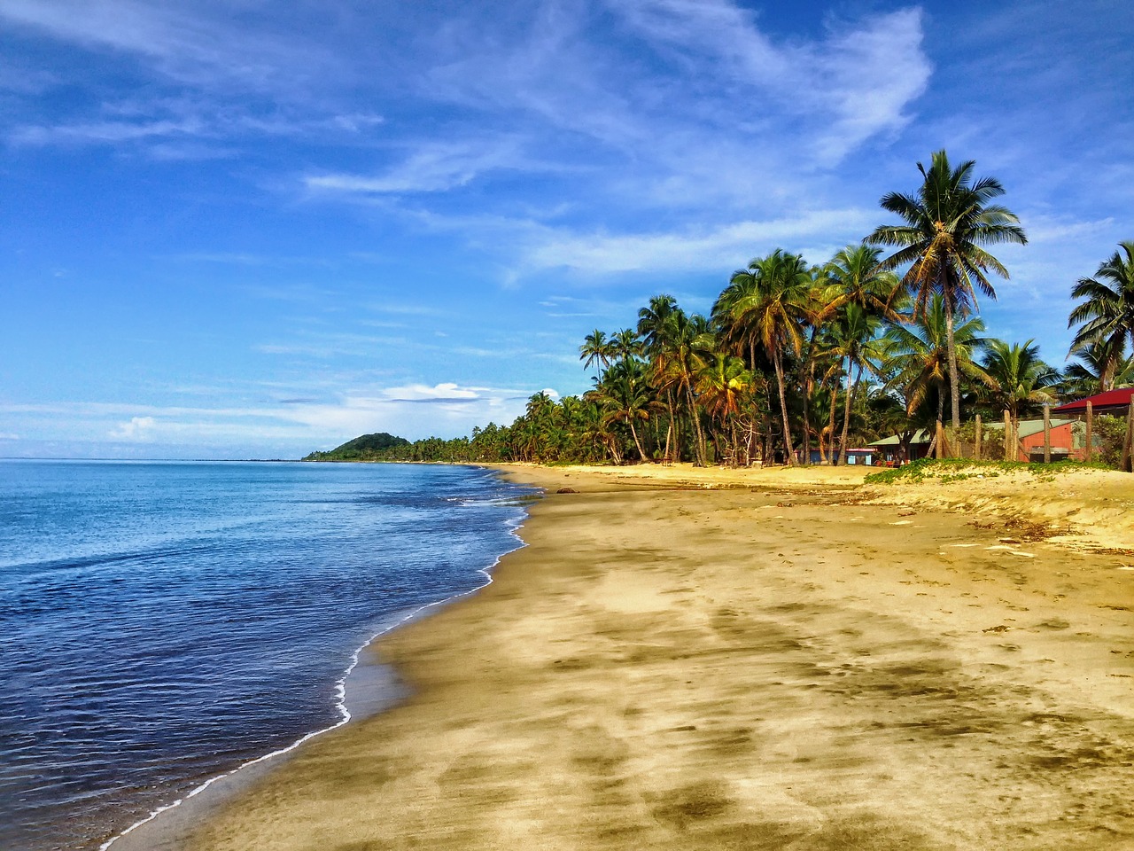 Sandy beach adorned with swaying palm trees and turquoise water.