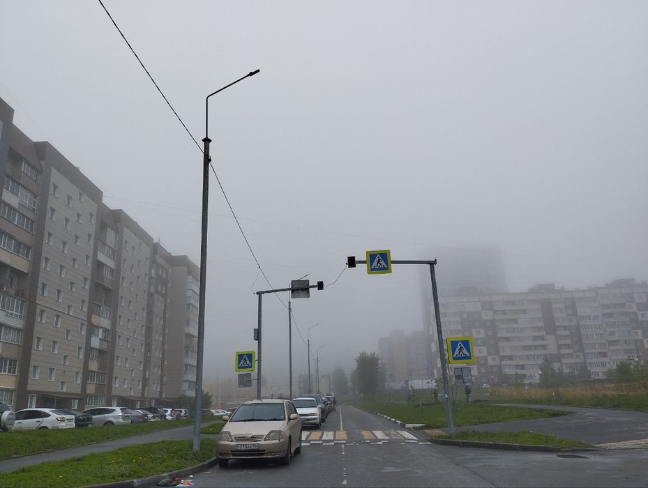 Фото 7 июня Новосибирск окутало густым туманом. 13 фото природного явления с улиц города 3