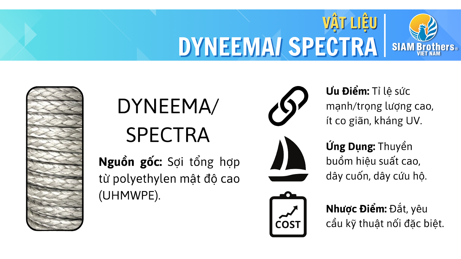 HƯỚNG DẪN TOÀN BỘ VỀ DÂY THỪNG HÀNG HẢI: LỰA CHỌN VÀ ỨNG DỤNG