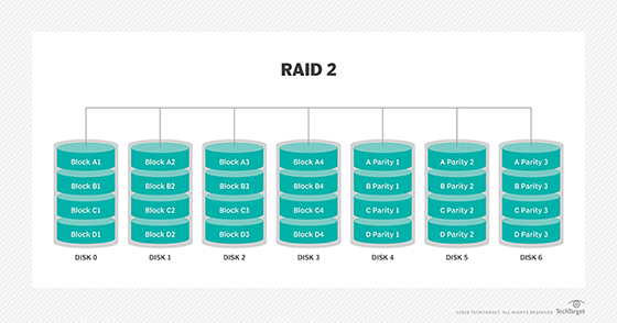 RAID 2 diagram