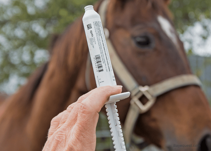 Factors Influencing Deworming Frequency