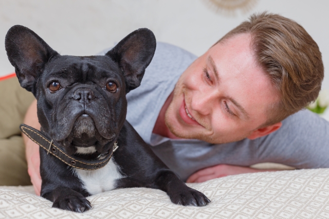 夢占い】犬が夢に出てくる意味60選！色や特徴、状況別に本当の