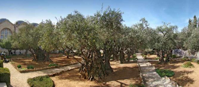 Gethsemane 