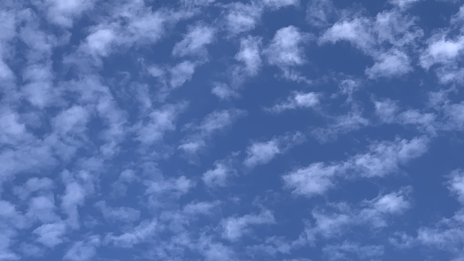 Exactly: Sky densely dotted with little white cloud-splotches on blue