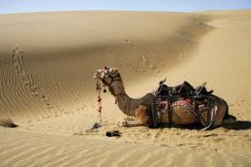 Thar Desert, Rajasthan