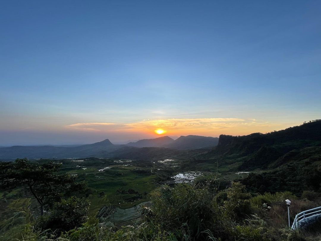 tempat wisata di bogor yang lagi hits Lembah Pinus Camp & Cafe Sukamakmur