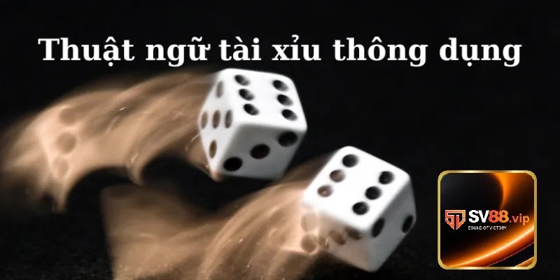 Thuật ngữ trong tài xỉu sv88