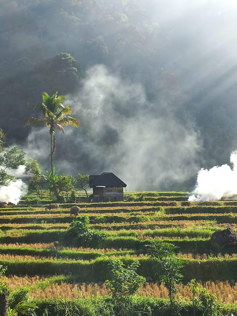 Pematang Sawah di Pagadih