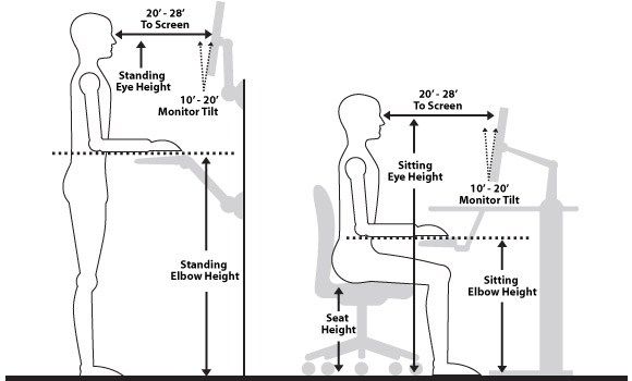 The Impact of Workplace Ergonomics on Office Productivity - image 3