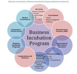 Business Incubators