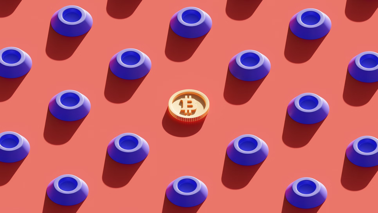 Riding the Wave: Bitcoin's Bull Run
