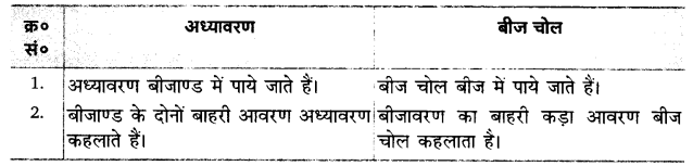 UP Board Solutions for Class 12 Biology Chapter 2 Sexual Reproduction in Flowering Plants Q.13.3