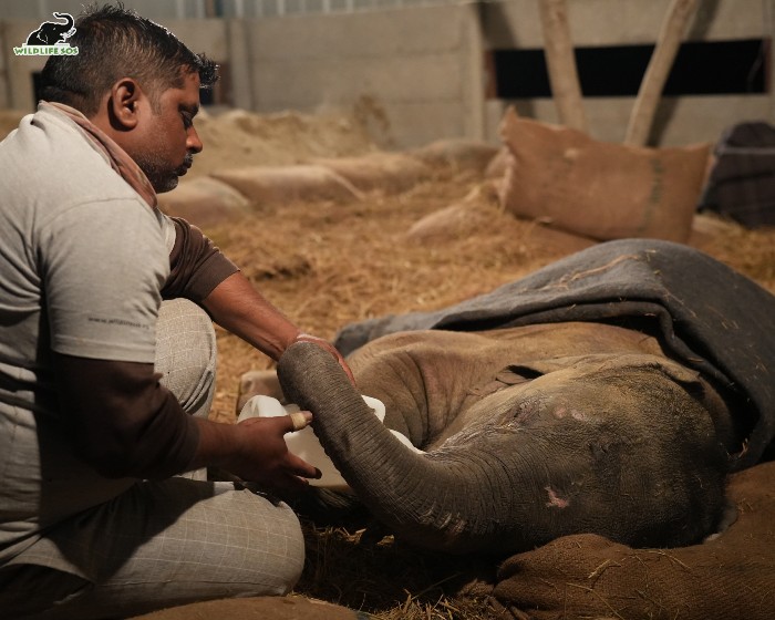 Caregiver and Baby Bani 