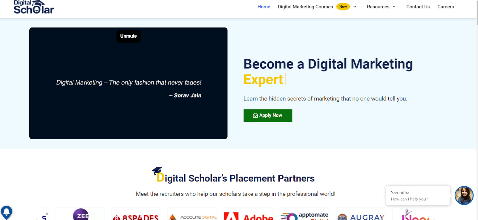 homepage of Digital scholar