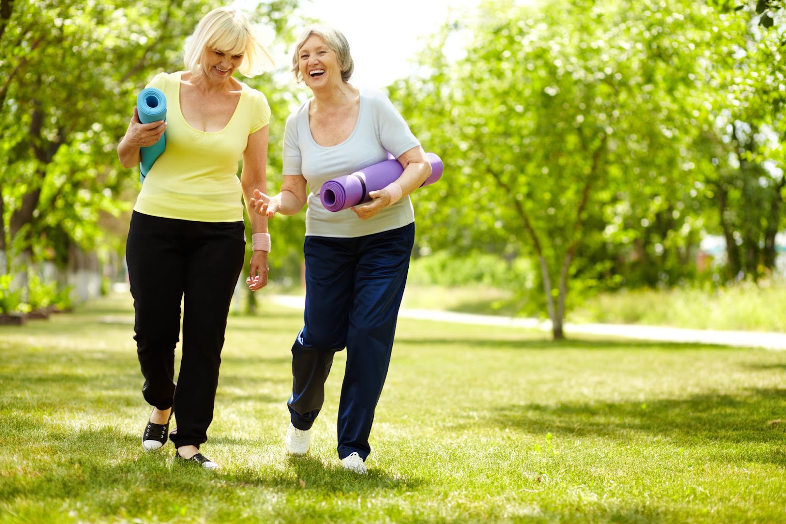 Two happy seniors walk together through a lush park on a sunny day