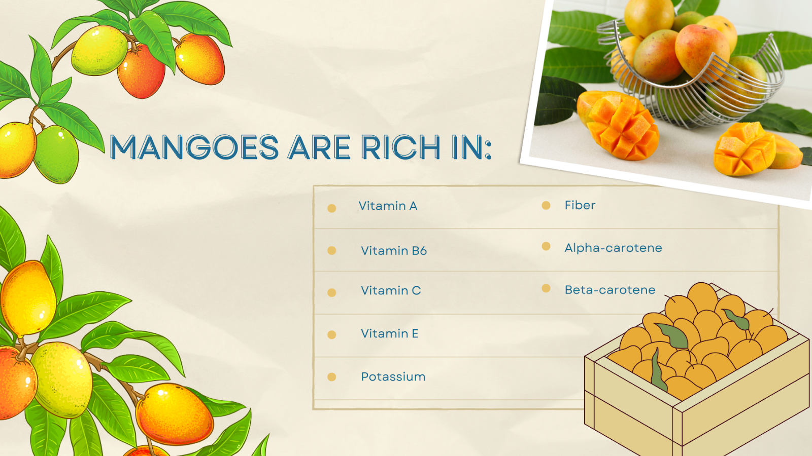 Nutrients mango