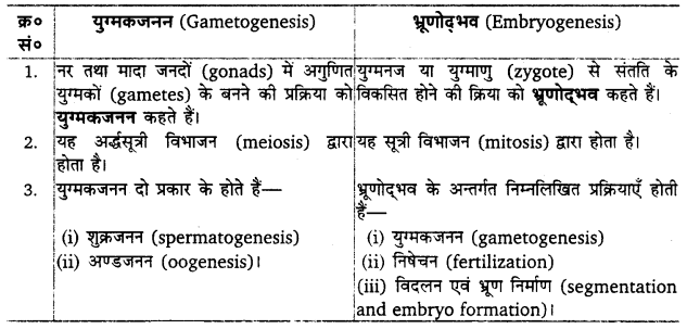 UP Board Solutions for Class 12 Biology Chapter 1 Reproduction in Organisms Q.14
