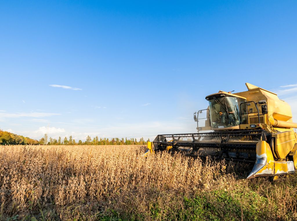 Estratégias para aumentar a produtividade da  plantação de soja