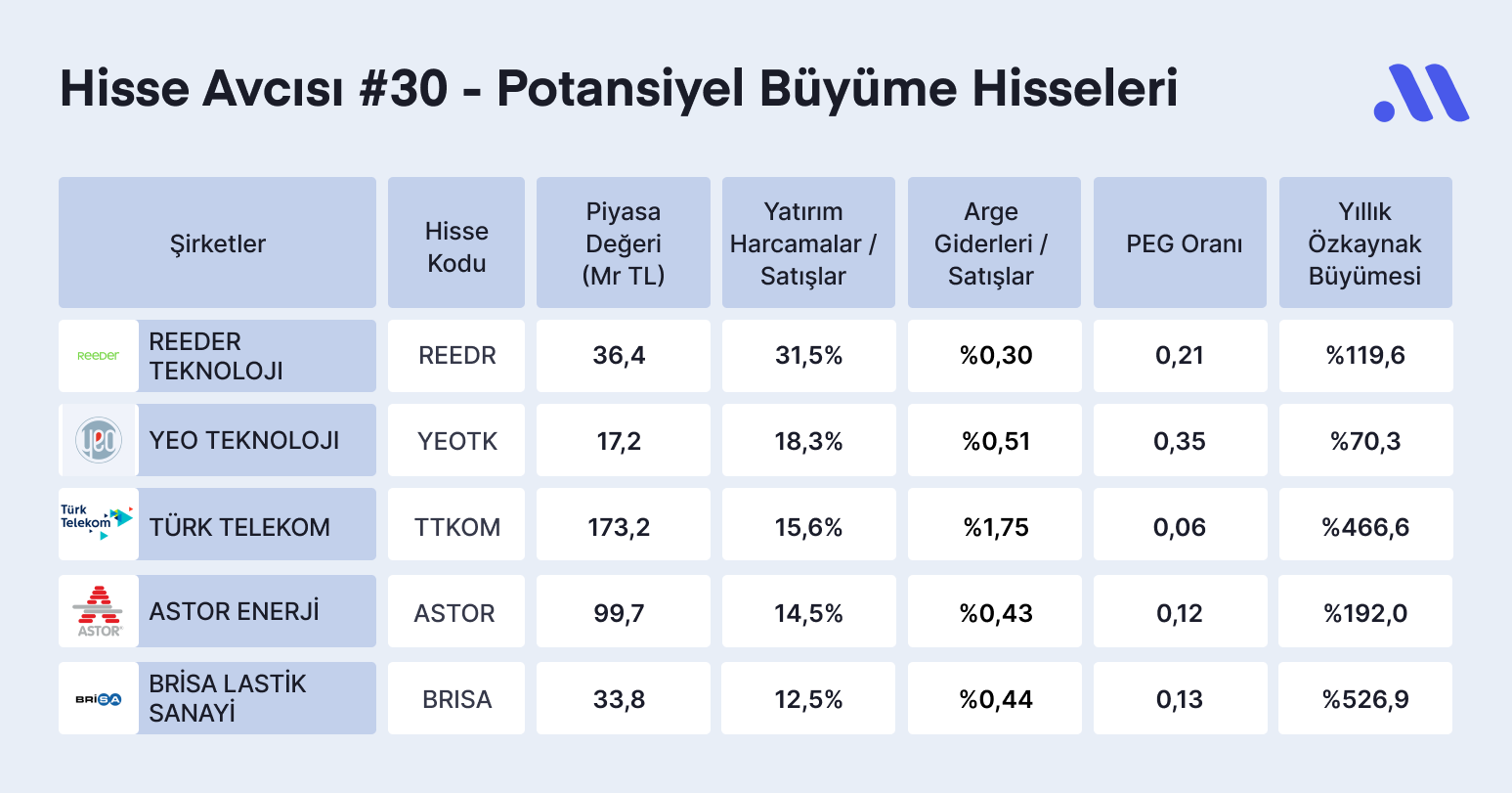 Hisse Avcısı #30 – Potansiyelin Anahtarı: Yatırım Harcamaları ve Özkaynak Büyümesiyle Öne Çıkan Şirketler