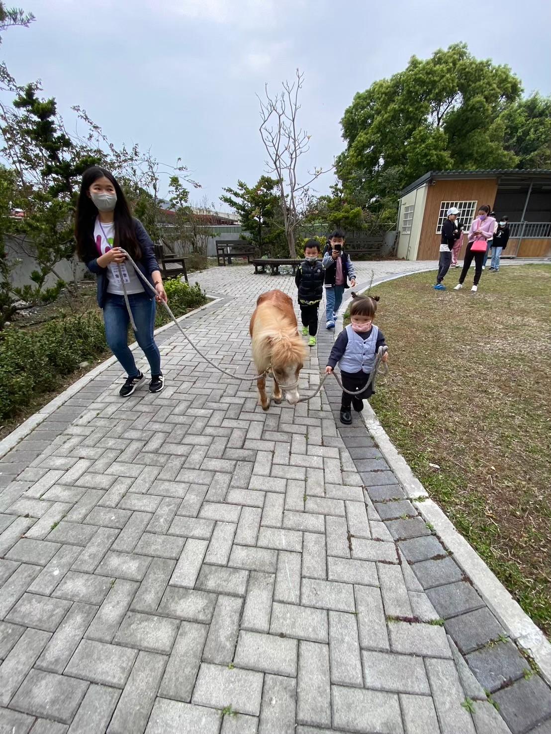 克服畏懼，三歲小小孩踏出領馬的第一步。（圖片來源／仁馨樂活園區）