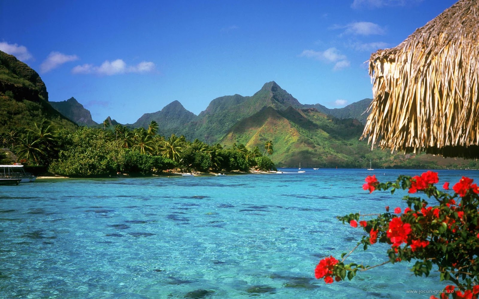 Bright blue water with hills in the background and colorful flowers