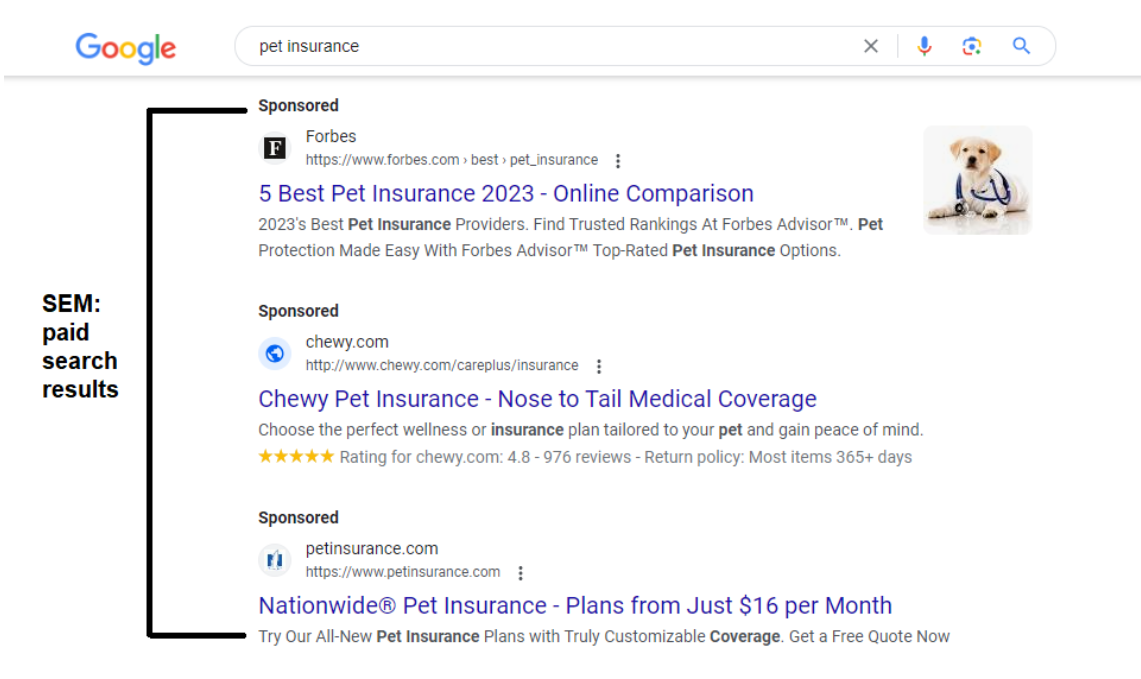 SEM: Paid Search Results