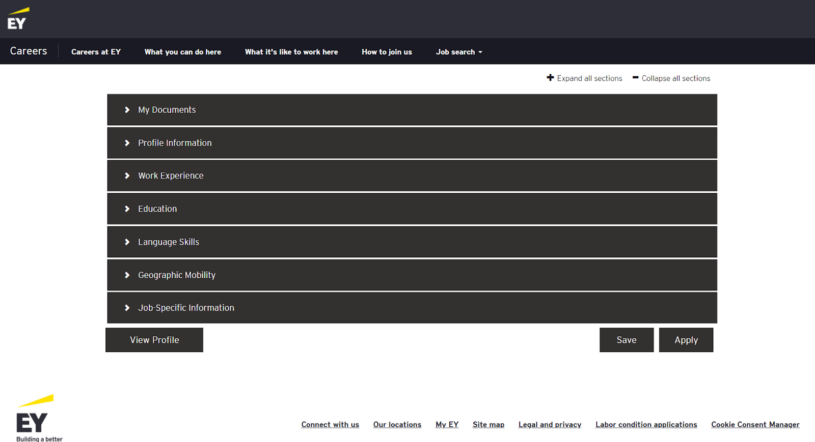 ey assessment centre case study