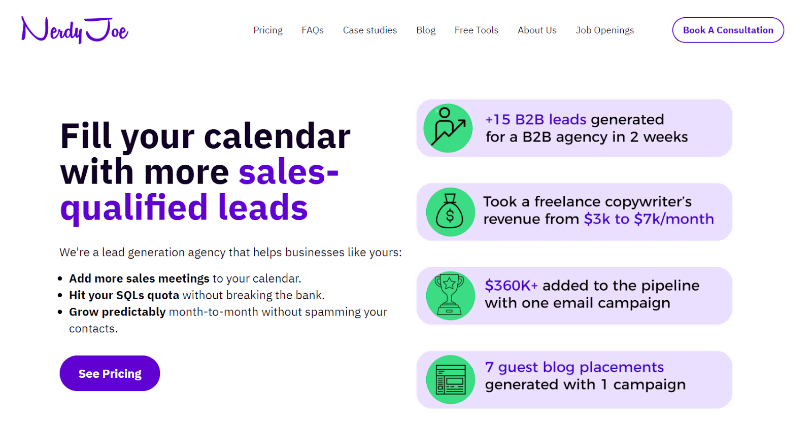 Nerdy Joe SaaS Lead Generation Agency Homepage