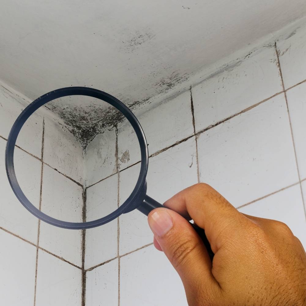 how to get mold off bathroom ceiling